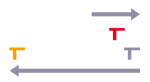 Belper Community Transport